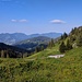 Rückblick
