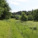 Grünes Tälchen