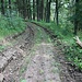 Zerfurchter Weg