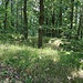 Ptačí vršek (Vogelberg), Gipfel