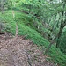Pfad an der Talkante des Wellnitztales