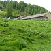 l'alpe Muot Selvas