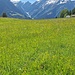 In  fondo il canale  della val soi