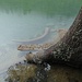 Bank unter am Lago Negro
