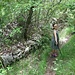 Abstieg zum Wasserfall