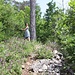 auf schönem Pfad bergwärts