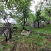 Eine Mischung aus steilem Gras und felsigem Untergrund