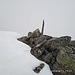 Auf La Piramida; dahinter geht es überraschend einfach bergab zum Ostgrat.