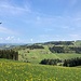 Emmental;
Hinüberblick zu Birnbaum und Lehn
