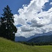 Almwiesen oberhalb vom Gschwandtnerbauern mit Blick auf' s Karwendel