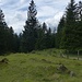 Ich erreiche hier mit einem Zaun-Spreizschritt wieder den Normal-Wanderweg.