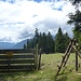 "Freiweidende Schafe", steht auf dem Schild. Und: "Bitte Hunde an die Leine nehmen".