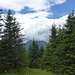 Landschaftlich ist es hier oben sehr viel schöner als im schattigen Tal unterhalb!