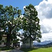 Am Gschwandtnerbauer - ein Traum von einem Wirtshaus.