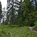 Waldpassage