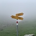 Oberer Wegweiser Mesmer.