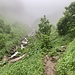 Durch den Nebel zum Mesmer.