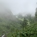 Durch den Nebel zum Mesmer.