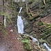 Abstieg durch das Hüttentobel.