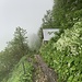 Schirmhütte am Schrennenweg.