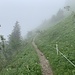 Auf dem Schrennenweg.