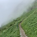 Auf dem Schrennenweg.