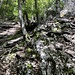 Wieder auf Kurs. Über diese Schrofen (keine wirkliche Kletterei) steigt man am Ostrand der Schlucht auf.