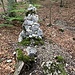 Den Abzweig vom Wanderweg zum Eulengrat & zur Alten Eule kann man kaum übersehen