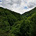 Wald nach Malesco