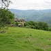 Mogliazze