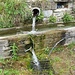 La fontana pubblica di Mogliazze.
