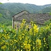 La chiesa di San Cristoforo nell'omonima frazione.