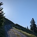 Nach 1000 Hm Aufstieg erreichte ich die Waldgrenze.