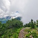 Auf dem Heubüal. Nebel drückt vom Rheintal zum Grat