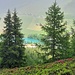 Blick zum Gänglesee
