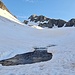 <b>La neve è compatta e portante: è un piacere sciare in queste condizioni. Non c’è nessuna formazione di zoccolo e le inversioni non pongono alcun problema. In venti minuti supero il primo gradino; il terreno ora spiana, il sole illumina sempre di più l’altopiano ed il richiamo delle foto è irresistibile. </b>