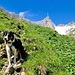 Skip geniesst die Unternehmungen in der Natur