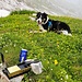 ... daher ist ein Raclette die Ideale Ablenkung auch vom kühlen Wind