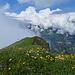 Die Voralpenkette im Nebel