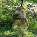 Von Dennach her komme ich, nach Dobel will ich.<br /><br />
