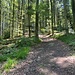 Gegen Dennach hinauf.<br /><br />