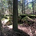 ... und ein Abstecher zum Heuberg. Das könnte etwa der Gipfel sein. Der Heuberg ist der höchste Punkt im Enzkreis (709.1m).<br /><br />