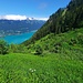 Dans la montée vers 1600m