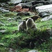 Begrüßung an der Valsalm