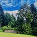 durch den schlecht begehbaren Sitewald zur Wiese unterhalb des Hofes Harrisberg