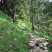 ...und durch Wald gelangt man hinauf zum Hauptweg.