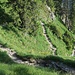 In zahllosen Kehren geht es der Marienbrücke entgegen.