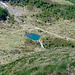 Wasenseelein