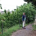 rund ums Kastell