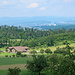 Wieder der Blick nach Basel, mit seinen Türmen